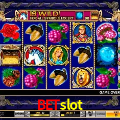 Casino VIP betslot